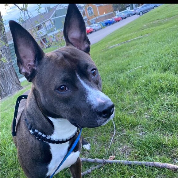 Meet your Posher, Tim - Picture 2 of 4